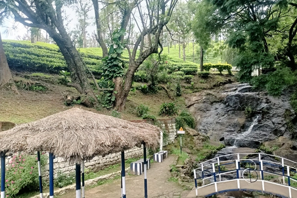 Gallery image 16
